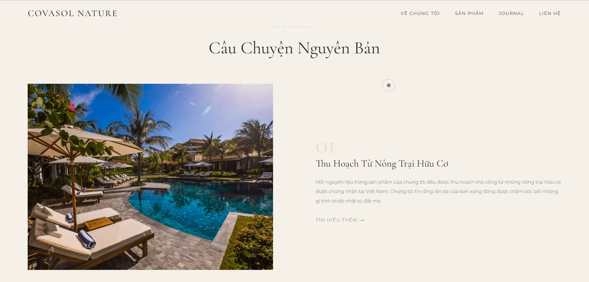 Modern Web & UI/UX Landing Page Collection